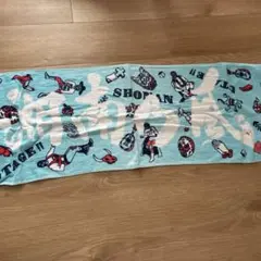 湘南乃風 ライブ タオル UTAGE!!