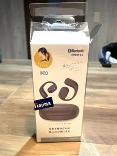 未使用　ラスタバナナ 完全ワイヤレスイヤホン 本体