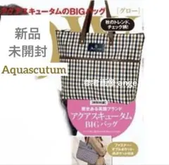新品 グロー 付録 アクアスキュータム クラブ チェック柄 ビッグ トートのサムネイル