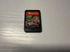 スプラトゥーン2 Nintendo Switch カセット