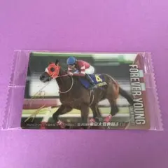 サラブレッドホースコレクション フォーエバーヤング 東京大賞典