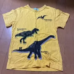 hakka kids 恐竜柄 Tシャツ イエロー 130cmのサムネイル