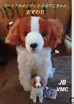コーイケルホンディエのおでこちゃん べぇ BIG 犬 ぬいぐるみ - メルカリ