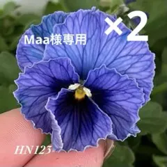 Maa様専用•*¨*•.¸♬︎のサムネイル