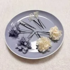 のらうずら様専用