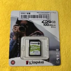 Kingston Canvas Select Plus 256GB SD 新品