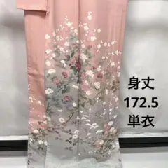 C655正絹　単衣　訪問着　作家物落款　極美品　トールサイズ　着物
