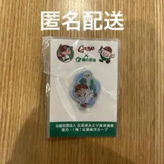 広島東洋カープ 緑の募金 ピンバッジ