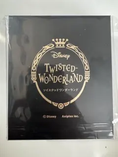 ディズニー ツイステッドワンダーランド オイル入りオーナメント ヴィル