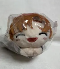 みっちゃん様専用