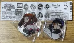 ヒロアカ　アクリルスタンド 2個セット