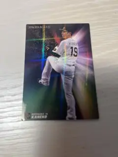 カルビープロ野球チップスカード2016金子千尋