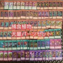 2025年最新】プレデタープランツ デッキの人気アイテム - メルカリ