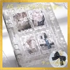 Item thumbnail for item 2abe6798-1e8b-4fb2-9e3d-0835ff485a7b