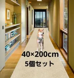 Item thumbnail for item ae7a0d40-17f5-4c6c-a4ef-87b32b27f453