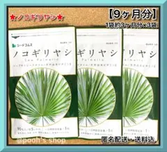 Item thumbnail for item 5f8b1c28-1f48-4f0a-9d43-6de6e7c31c9b