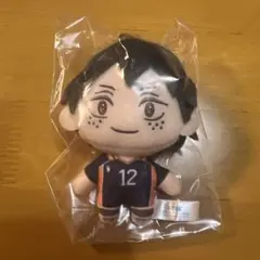 ハイキュー　セガラッキーくじ　B賞　ぬいぐるみマスコット　山口忠