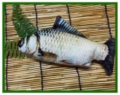 Item thumbnail for item 1d4c54e1-0feb-40c2-a90c-94a5a4d4be9f