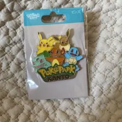 ポケパークカントー限定ピンズ ピカチュウイーブイ
