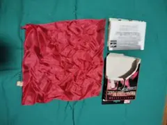 Item thumbnail for item 93d3f2da-09c1-433f-93c8-fa762347f7bc