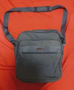 トトロ様専用です Samsonite USA×ACE サムソナイト