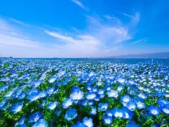 Marin☆様　専用　６個セット