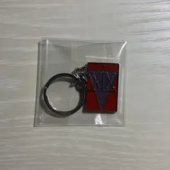 ハンターハンター HUNTER × HUNTER ハンターライセンス