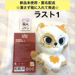 BOYNEXTDOOR BBNEXDO プネクド CATBBI popup