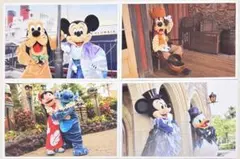 Tokyo Disney Resort 実写ポストカード 4枚セット