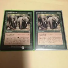 MTG 獣群の呼び声 Call of the Herd 2枚セット 日本語版 - メルカリ