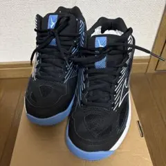 バレーボールシューズ CYCLONE SPEED 4 MID 24.0cm