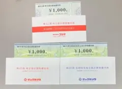 ビックカメラ&コジマ 株主優待券 3000円分