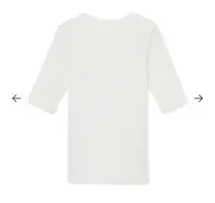shishikui Tシャツ