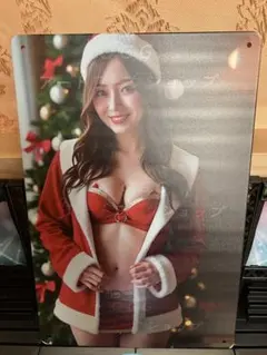 アートワークショップ クリスマス ビューティフルガール ブリキプレート 送料込