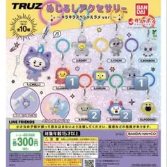 TRUZ treasureめじるしアクセサリー 6個セット