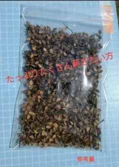 すんちゃん様 リクエスト 2点 まとめ商品