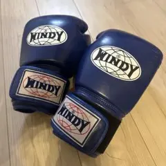 美品　ウィンディ　WINDY ボクシンググローブ 16 ブルー　キックボクシングのサムネイル