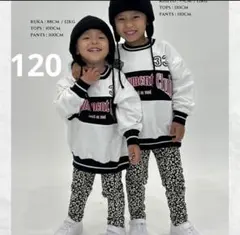 Item thumbnail for item 133bd0a9-f833-4878-acbe-088796cd43c1