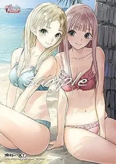 【未開封】ルルアのアトリエ トレーダー購入特典『B2タペストリー』