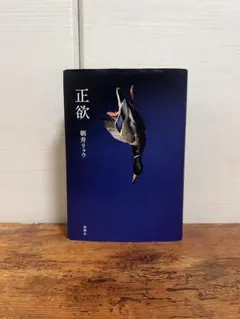 正欲 朝井リョウのサムネイル