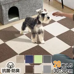 Item thumbnail for item e40b5089-e748-428a-b12b-276cd9980bd2