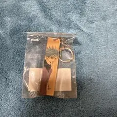 矢沢あい展 NANA アクリルスティックキーホルダー シン - メルカリ