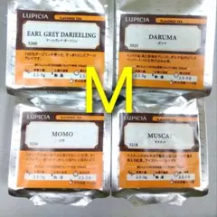 Item thumbnail for item 27e440dd-2cb9-4eae-99df-bb643e9ffea7