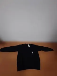 Item thumbnail for item 5d49132e-9f92-445e-aedb-83bdd4aa6fd3