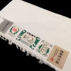 Item thumbnail for item 43e943e8-a110-4fcd-b484-33532f9dd719