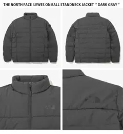 海外限定　THE NORTH FACE LEWES ON BALL JACKET