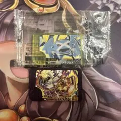 ポケモンフレンダ　タケルライコ メタグロス　2枚セット