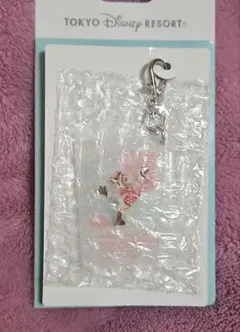 Imagining the Magic イマジニング キーホルダー デール