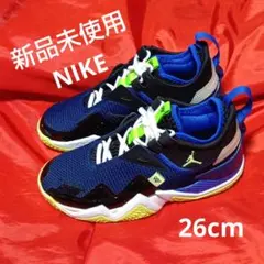 신품 미사용 NIKE ジョーダン ウェスト ブルック