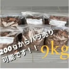 Item thumbnail for item e5fea3e2-5781-4771-8ba3-21d5a98ef516